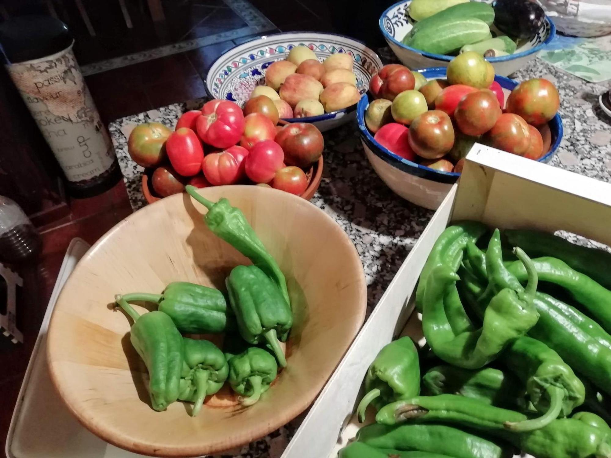 SorbasBed & Breakfast Alegria Y Luna住宿加早餐旅馆 外观 照片